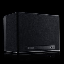 RAUMFELD ONE S HIFI-FORUM EDITION